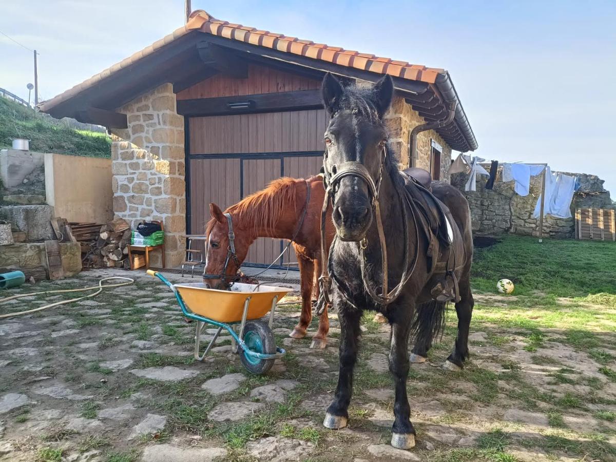 Ferienwohnung Golindo Goikoa Getaria Exterior foto