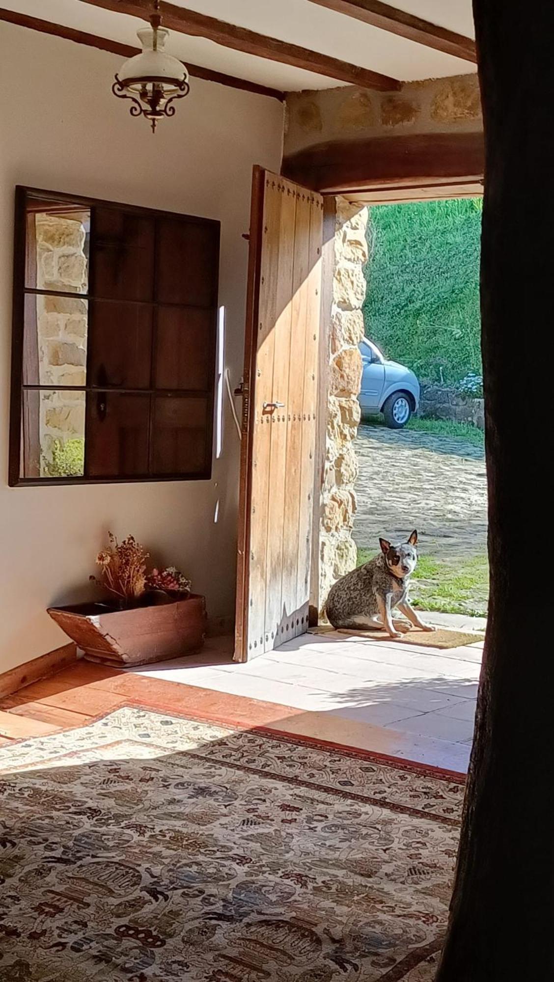 Ferienwohnung Golindo Goikoa Getaria Exterior foto